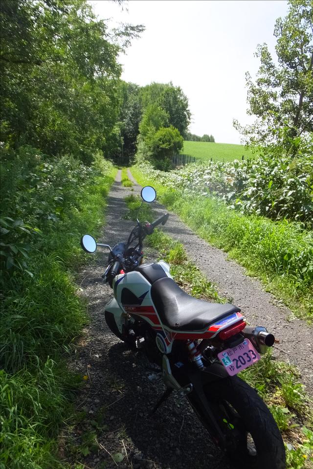 画像4: <GROMで林道>クマに注意!道東林道ツーリング2016編(その1)