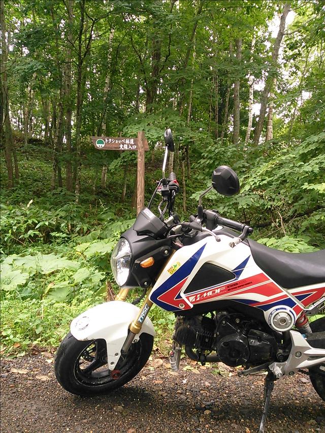 画像: トクショッペ林道