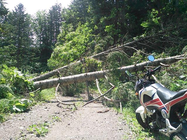 画像7: <GROMで林道>クマに注意!道東林道ツーリング2016編(その1)