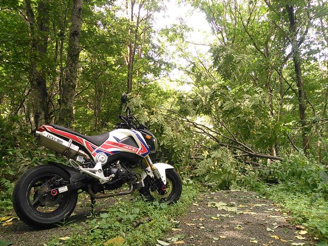 画像10: <GROMで林道>クマに注意!道東林道ツーリング2016編(その1)