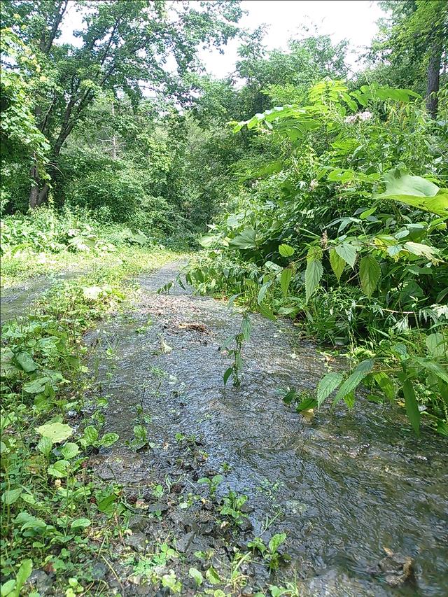 画像6: <GROMで林道>クマに注意!道東林道ツーリング2016編(その1)