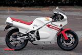 画像1: レーサーRS250Rとの並行開発で生み出され レプリカ戦線に放たれたロードゴーイングレーサー