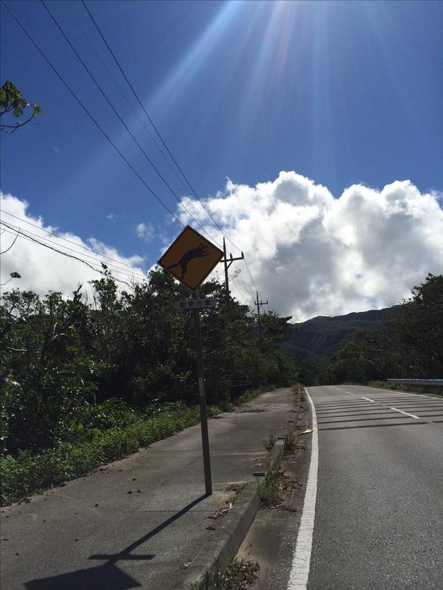 画像5: 西表島でレンタルバイクしてきたよ(福山理子)