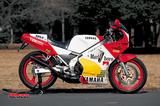 画像1: ワークスYZRの技術を基に、市販レーサーTZと並行開発され レーサーレプリカの新しい基準を提示したピュアスポーツ