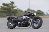 画像1: ZERO ENGINEERING ROAD HOPPER TYPE9 EVO