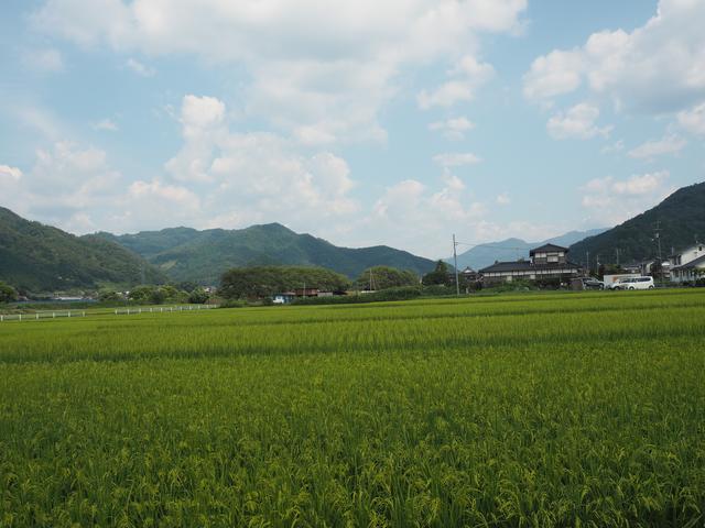 画像: ロケーションも最高です! 山々に囲まれ、田園地帯が広がるなかにBASE8823さんはあります。ツーリングの拠点としても良いですし、隼駅からも歩いていける距離なので嬉しいですね♪