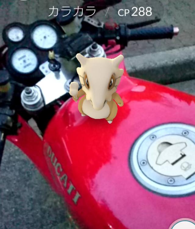 画像: バイクと2ショット。