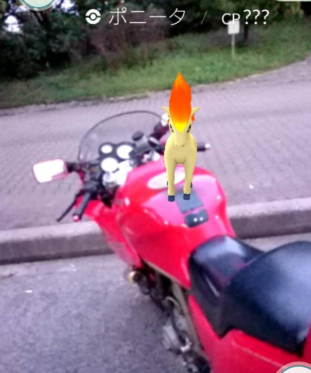 画像: バイクで「ポケモンGO!」してきました