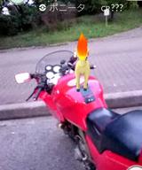 画像: バイクで「ポケモンGO!」してきました