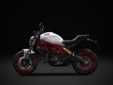 画像4: Monster 797