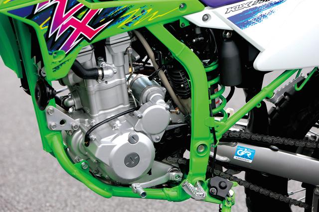 画像: ルーツとなった初代モデルから熟成を重ねてきたDOHC水冷シングル。FI仕様で最高出力24PSを発揮する。