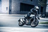画像2: 390DUKEをベースにハスクバーナらしい個性を演出