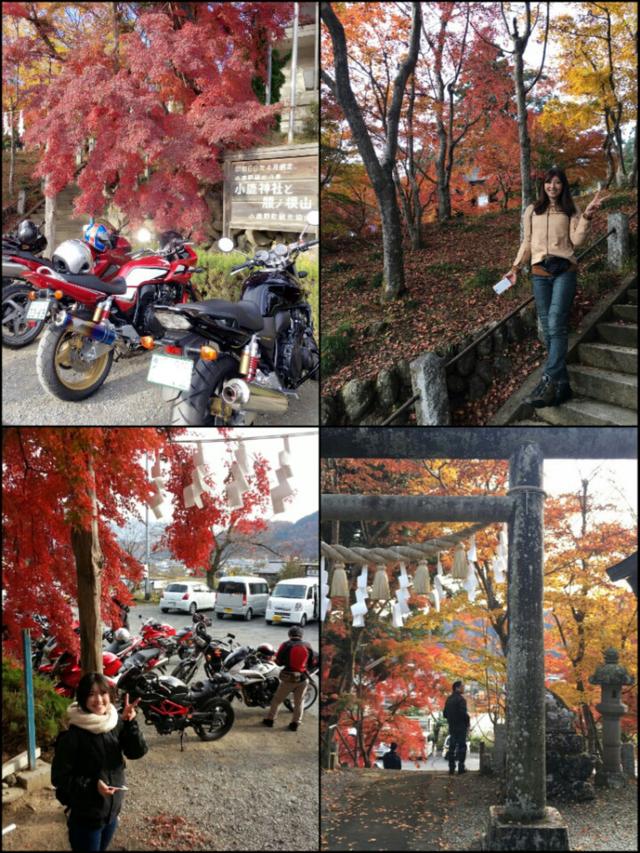 画像: 紅葉が見頃で最高だったよー!!
