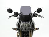 画像2: Z125PRO 用 スクリーン、リアキャリア