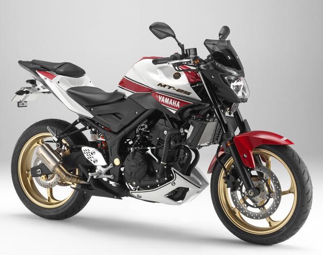 画像: MT-25/03 AUTHENTIC外装セット ■6万9120円