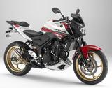 画像: MT-25/03 AUTHENTIC外装セット ■6万9120円