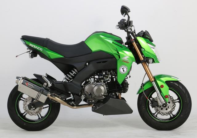 画像1: Z125 PRO 用 アンダーカウル(ショート)