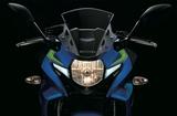 画像: ヘッドライトこそハロゲンだが、左右にLEDのポジションランプを配して、GSX-Rシリーズにも通じる、独特な表情を演出。スクリーンには内圧調整の穴が開けられている。