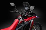 画像: CRF450RALLYと同一形状となる大型のフローティングスクリーン。スリットを配したシュラウドや、ナックルガードとあいまって、ハイレベルなウィンドプロテクション性能を発揮する。