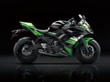 画像2: 上級モデルZX-10Rのデザインを継承し生まれ変わったオールラウンダー