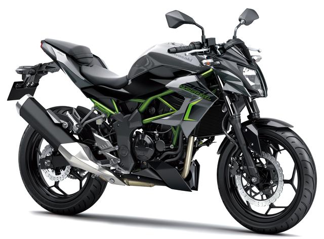 画像1: KAWASAKI Z250SL(メタリックグラファイトグレー×エボニー) ■税込価格:43万7400円