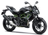 画像1: KAWASAKI Z250SL(メタリックグラファイトグレー×エボニー) ■税込価格:43万7400円