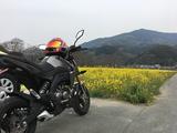 画像: Z125は、主に通勤や近場メインで使用していますが、これでもツーリングやサーキットを楽しみたいなと思ってます!
