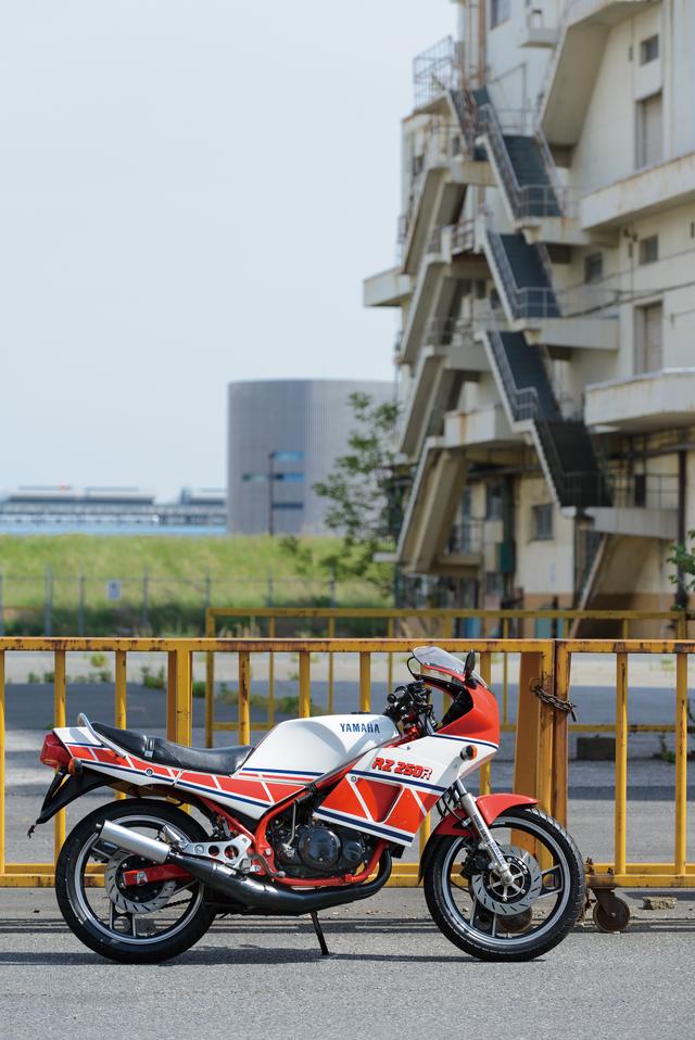 画像1: カウル装着でよりレーシーに変身