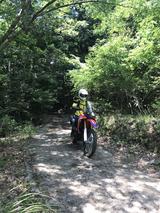 画像3: ついに、CRF250ラリーで林道に行ってきました!!