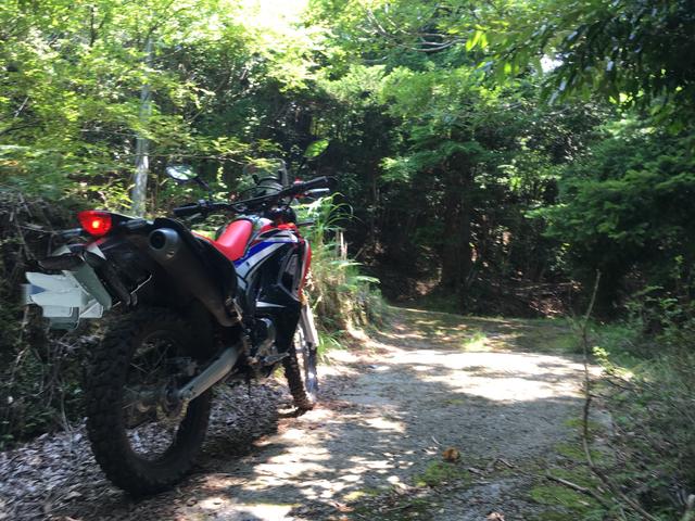 画像9: ついに、CRF250ラリーで林道に行ってきました!!