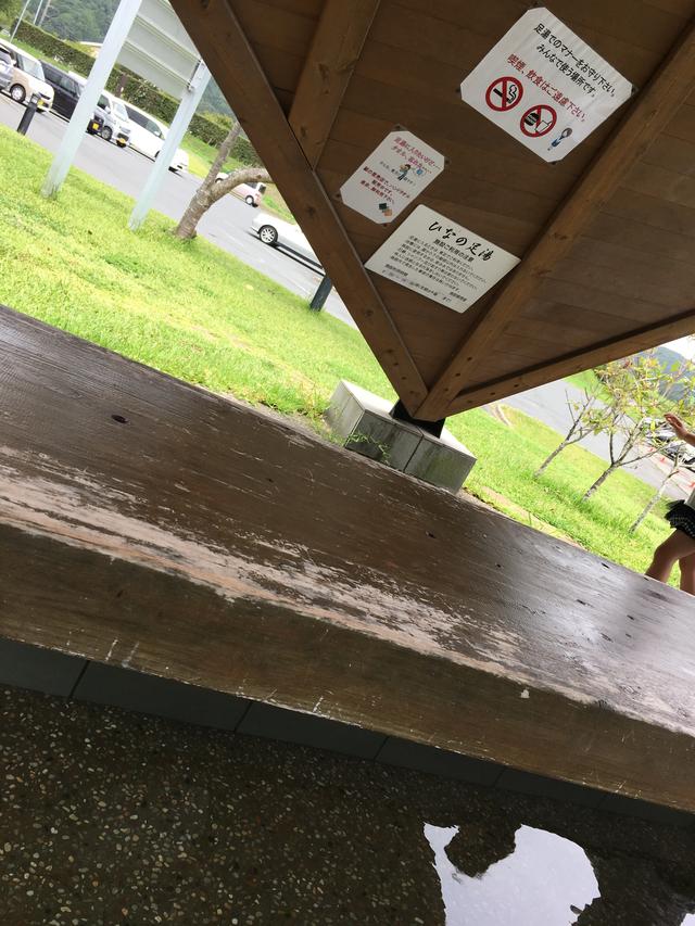 画像4: <モリメグの週末>南房総に行ってきました!