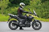 画像1: RIDING POSITION(身長:176㎝ 体重:60㎏)