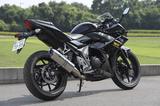 画像1: WYVERN SUZUKI GSX250R Slip-On Type S