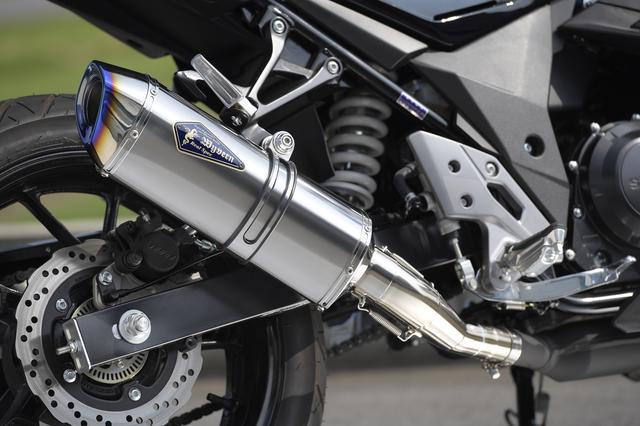 画像2: WYVERN SUZUKI GSX250R Slip-On Type S