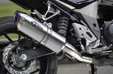 画像2: WYVERN SUZUKI GSX250R Slip-On Type S