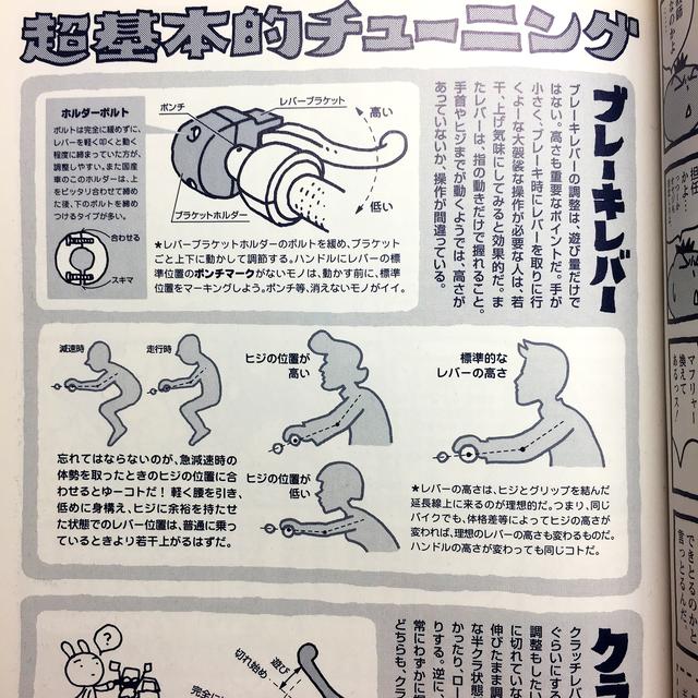 画像: ©️アオキシン