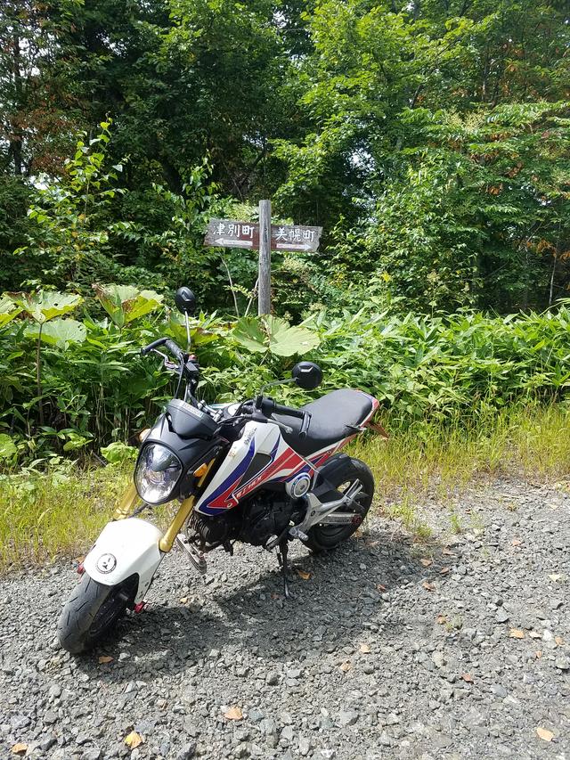 画像: 熊が怖くてさくっと撮って出発します。(汗)