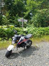 画像: 熊が怖くてさくっと撮って出発します。(汗)
