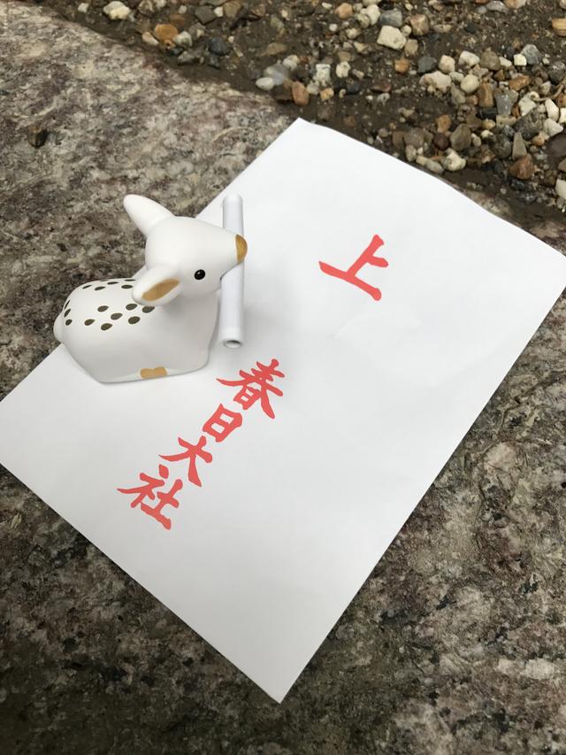 画像: 春日大社のおみくじ「白鹿みくじ」すごく可愛いですね♪