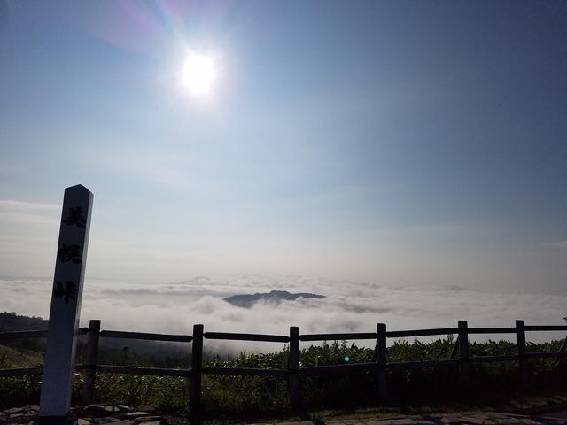 画像: 早朝〜9時頃までがチャンス大らしいです!