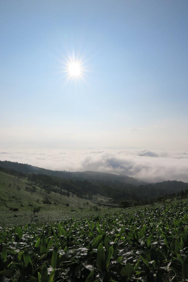 画像: 美幌峠の雲海です。午前7時頃。
