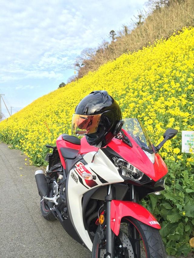 画像: 伊予灘 双海付近の菜の花畑に納車記念で行きました!