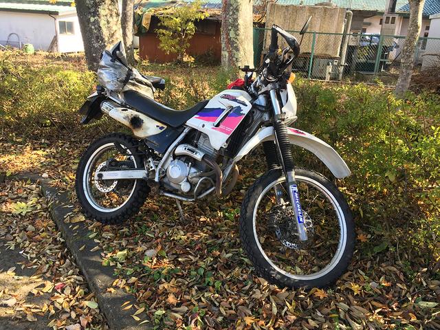 画像: 正直、この日1番年季の入っていたバイクは、間違いなく関野カメラマンのディグリーです(笑)。油断すると土に還りそうな佇まいに、思わず私が撮った一枚。