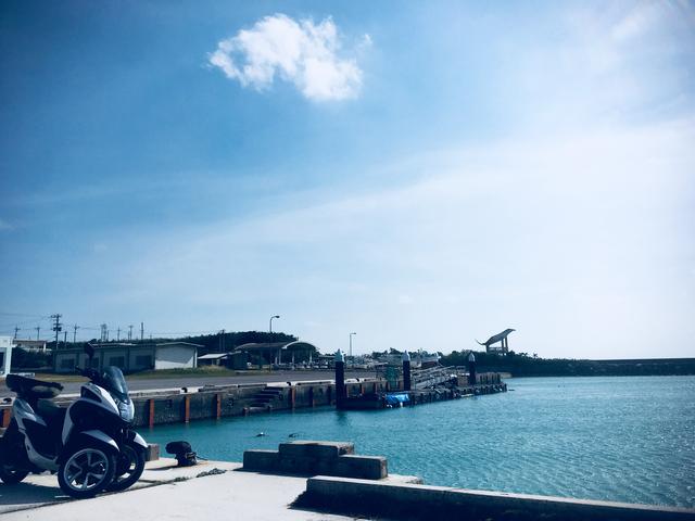 画像6: またまた、石垣島から小さな島に渡り、ひとり旅してきました( › ·̮ ‹ )