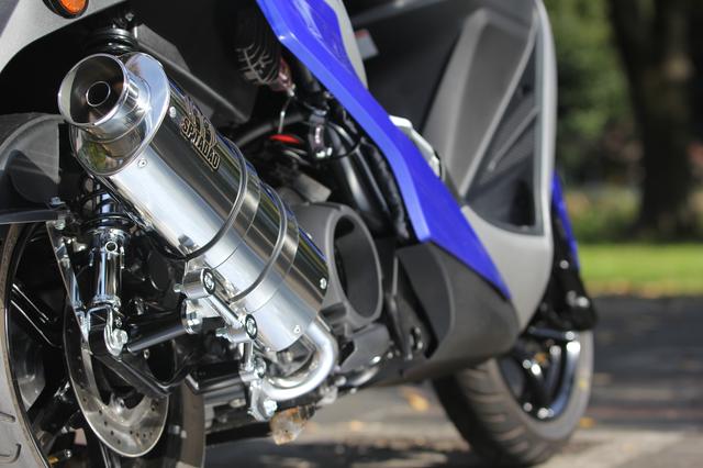 画像: PURE SPORT “OVAL”ゴールドエンブレム SUS