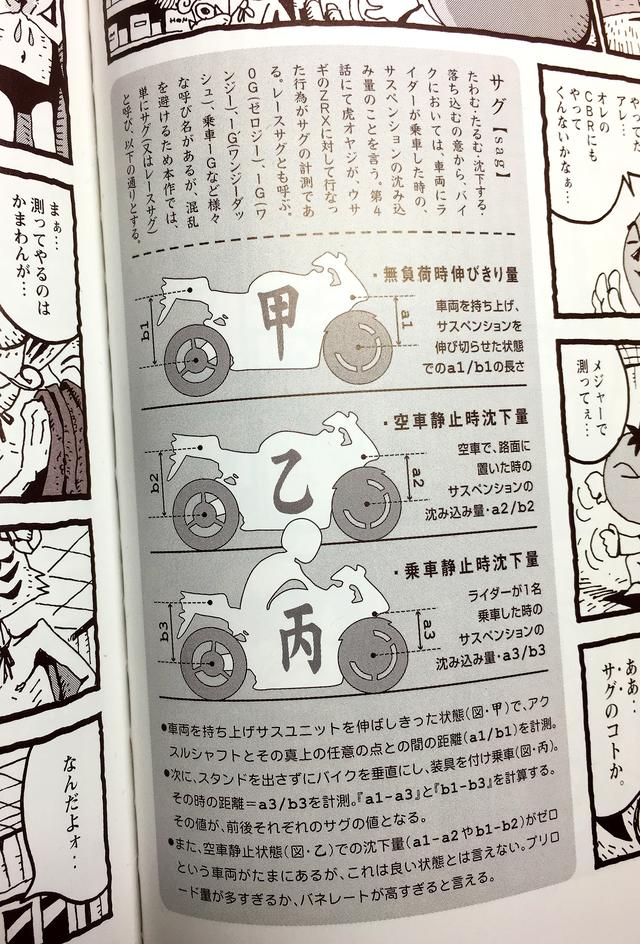 画像: ©️アオキシン