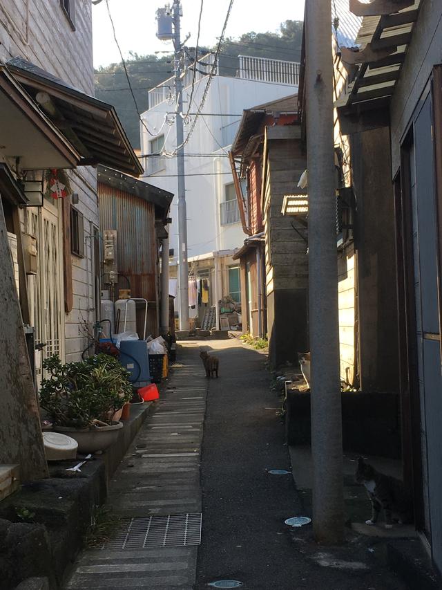 画像: それぞれの町にたくさんの 新鮮さを感じます