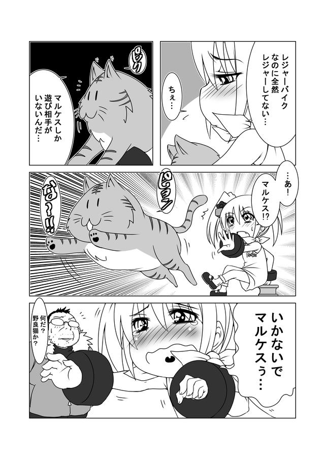 画像3: レジャーバイクあるある…かも