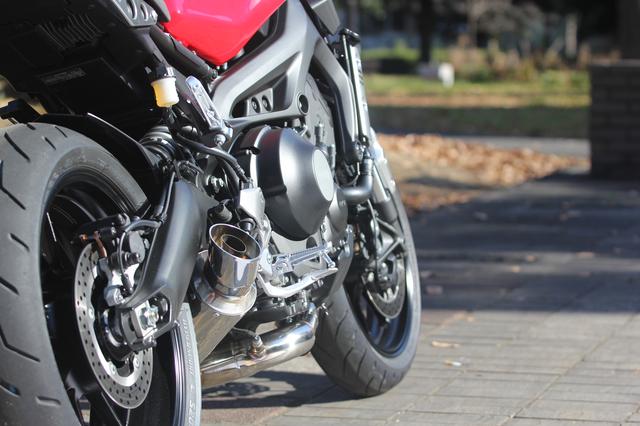 画像3: XSR900 POWER BOX FULL “SS”
