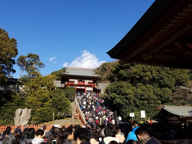 画像: なんじゃそりゃ~(><)
